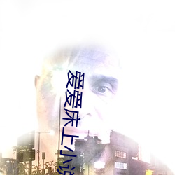 爱爱床(床)上小说