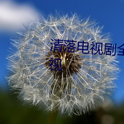 清落电视剧全集免费观看熊猫影视