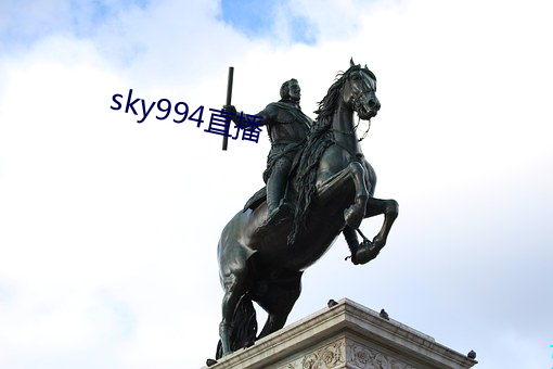 sky994直播