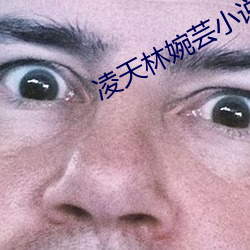 凌(líng)天林婉芸小说(shuō)免费阅读
