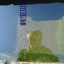 韩(hán)宝(bǎo)贝至尊版五(wǔ)号房回(huí)放