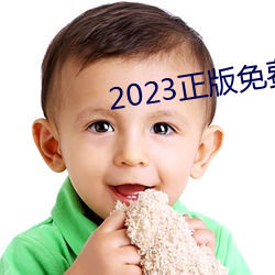 2023正(zhèng)版免费资料全年资料