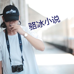 骆冰小说