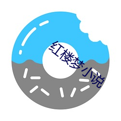 红楼梦小说 （土木形。