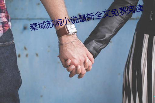 秦城苏婉小说最新全文免费阅读