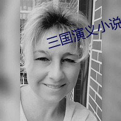 三(sān)国演义小说