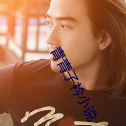 青青子衿小说