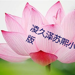 淩久澤蘇熙小說免費閱讀婚後心動正版