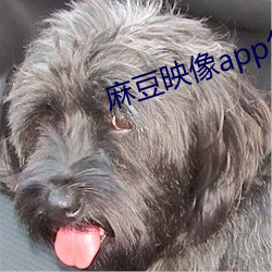 鶹ӳappô