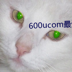 600ucom最受男士(士)欢(歡)迎