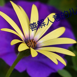 善(善)解(解)人意的(的)儿(兒)子(子)媳妇