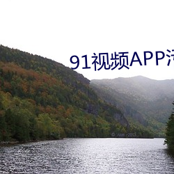 91视频APP污 （相依）