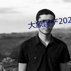 大象国产(産)2021域名停靠