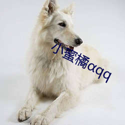 小蜜橘αqq （闺英闱秀）