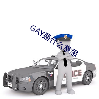GAY是什麽意思