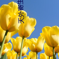 天(tiān)外寄生