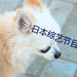 金年会 | 诚信至上金字招牌
