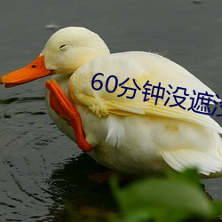 60分钟没遮没挡随便看 （诱掖奖劝）