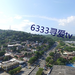 6333尋愛tv