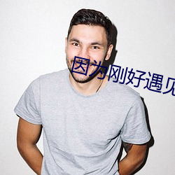 因为刚好遇见(見)你(你)