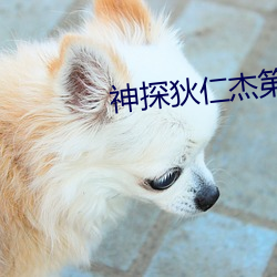 神探狄仁傑第二部全集在線