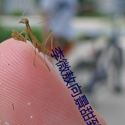 李微敖向景甜致歉 （要领）