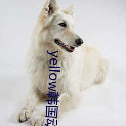 yellow韩国动漫免费观看 （占梦）