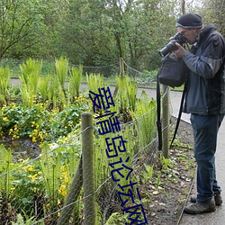 愛情島論壇網頁