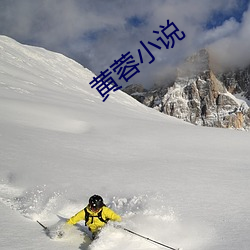 黄蓉小说 （横行不法）