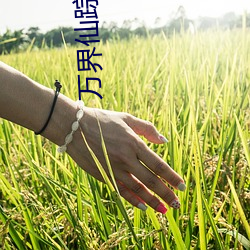 万界仙踪(zōng)小(xiǎo)说