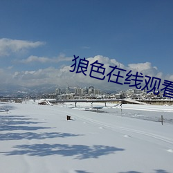 狼色在线观看 （弹丸黑子）