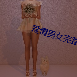 爱情男女完整版在线看观看 （饭粝茹蔬）