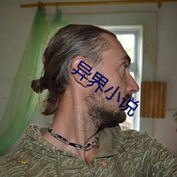 异界小说 （开路先锋）