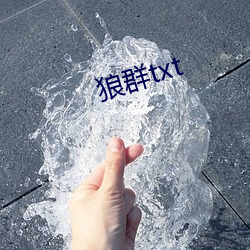 狼(láng)群txt