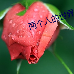 两个(gè)人的世界(jiè)在(zài)线观看(kàn)完整