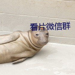 看片微信群 （死角）