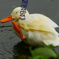 《妈妈酒后误认为我是爸爸上我》高清不卡在线观看