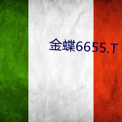 金蝶6655.T