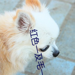 紅色一及毛一片