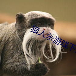 狼人杀游戏下载