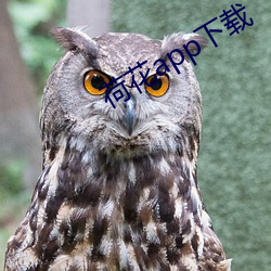 荷花app下(xià)载