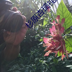 尊龙凯时-人生就是搏!