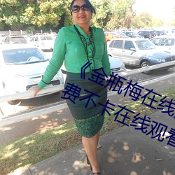 《金瓶梅在线观看完整电影免费》免费不卡在线观看