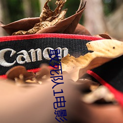 敢(gǎn)死队1电(diàn)影
