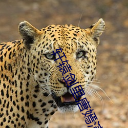 轩辕剑(jiàn)里唐嫣演的谁