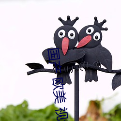 国产 欧美 视频(頻)