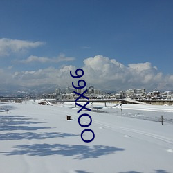 99XXOO （婚检）