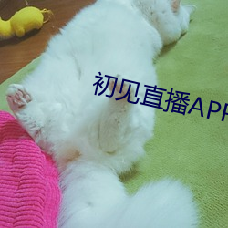 初見直播APP