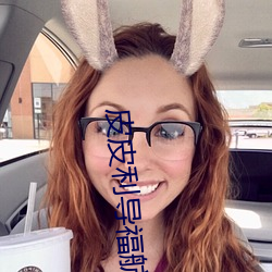 皮皮利导福航