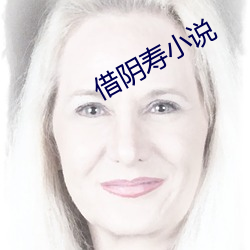 借阴寿小说
